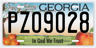 GA license plate PZO9028