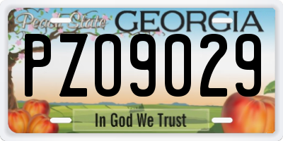 GA license plate PZO9029