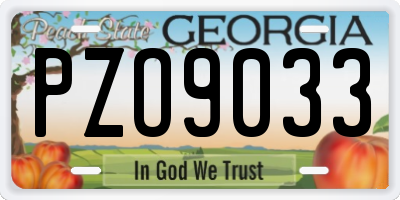GA license plate PZO9033