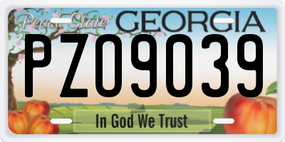 GA license plate PZO9039