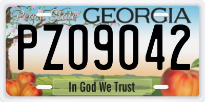 GA license plate PZO9042