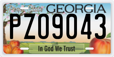 GA license plate PZO9043