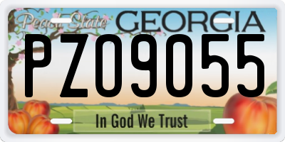 GA license plate PZO9055