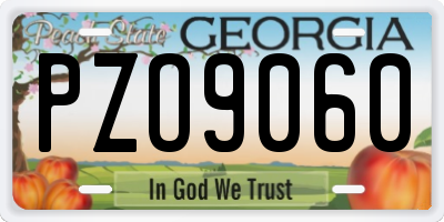 GA license plate PZO9060