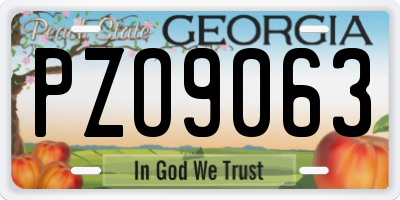 GA license plate PZO9063