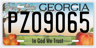 GA license plate PZO9065