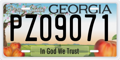 GA license plate PZO9071