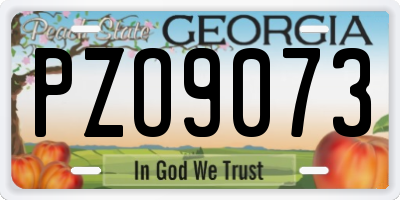 GA license plate PZO9073