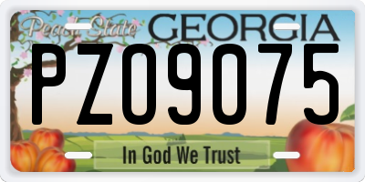 GA license plate PZO9075