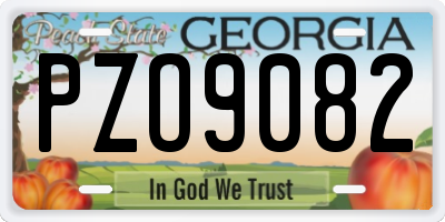 GA license plate PZO9082