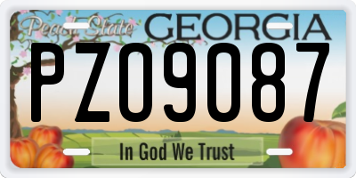 GA license plate PZO9087