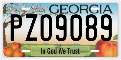 GA license plate PZO9089