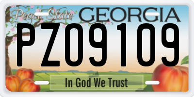 GA license plate PZO9109