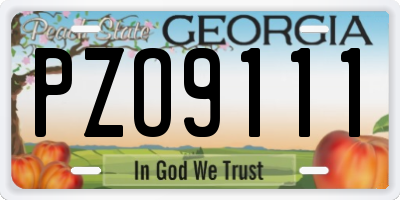 GA license plate PZO9111