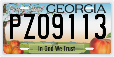 GA license plate PZO9113