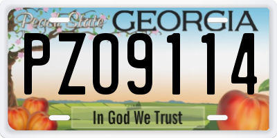 GA license plate PZO9114