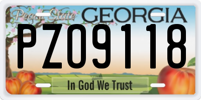 GA license plate PZO9118