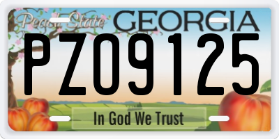 GA license plate PZO9125