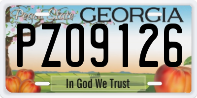 GA license plate PZO9126