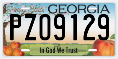 GA license plate PZO9129