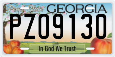 GA license plate PZO9130