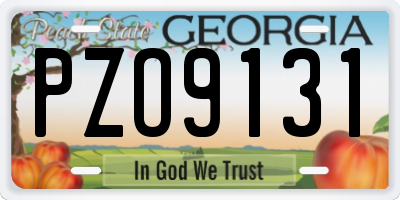 GA license plate PZO9131