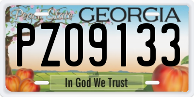 GA license plate PZO9133