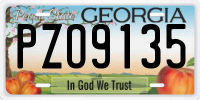 GA license plate PZO9135