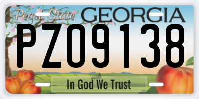 GA license plate PZO9138