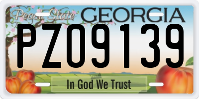 GA license plate PZO9139