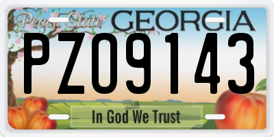 GA license plate PZO9143