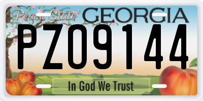 GA license plate PZO9144