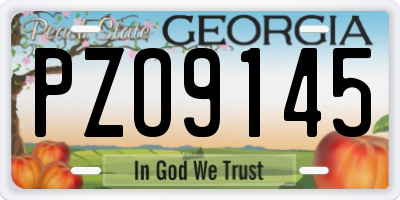 GA license plate PZO9145