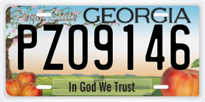 GA license plate PZO9146