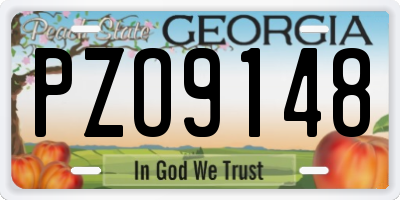 GA license plate PZO9148