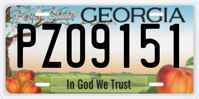 GA license plate PZO9151