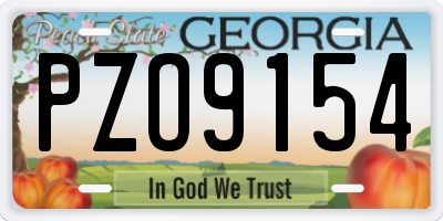 GA license plate PZO9154