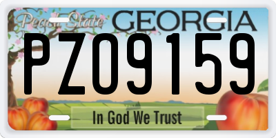 GA license plate PZO9159