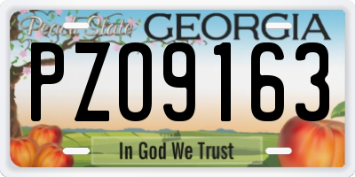 GA license plate PZO9163