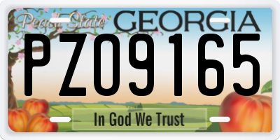 GA license plate PZO9165