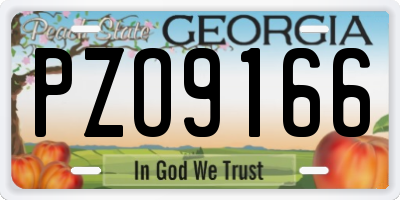 GA license plate PZO9166