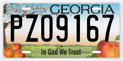 GA license plate PZO9167