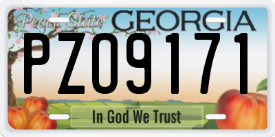 GA license plate PZO9171