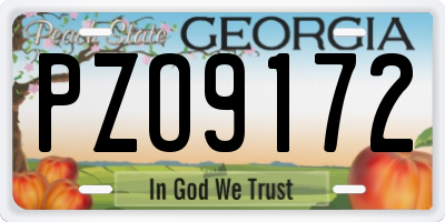 GA license plate PZO9172