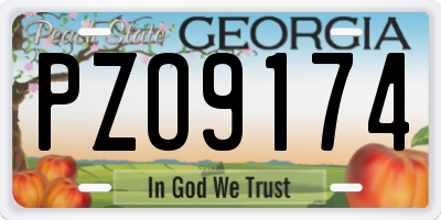 GA license plate PZO9174