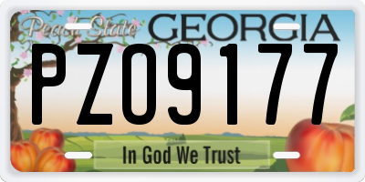 GA license plate PZO9177