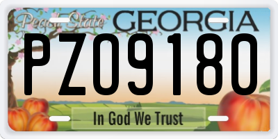 GA license plate PZO9180
