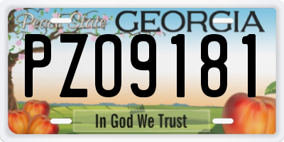 GA license plate PZO9181