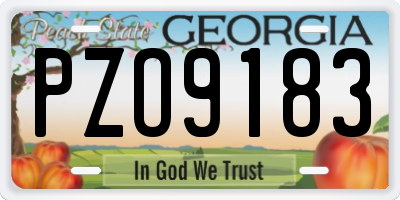 GA license plate PZO9183