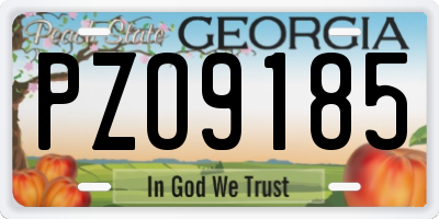 GA license plate PZO9185